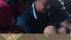 Pemasangan Kabel Wifi di Tiang PLN di Desa Bukit Betung Diduga Tanpa izin.